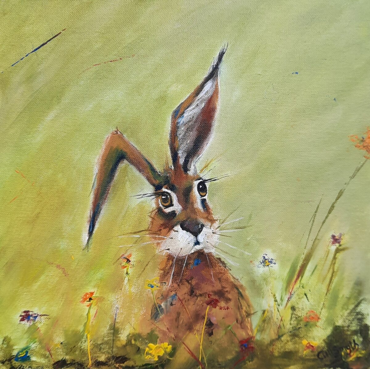 Hare raising!