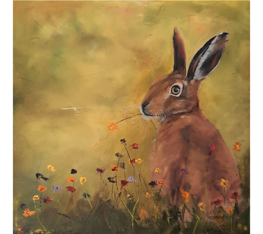 Hare today!