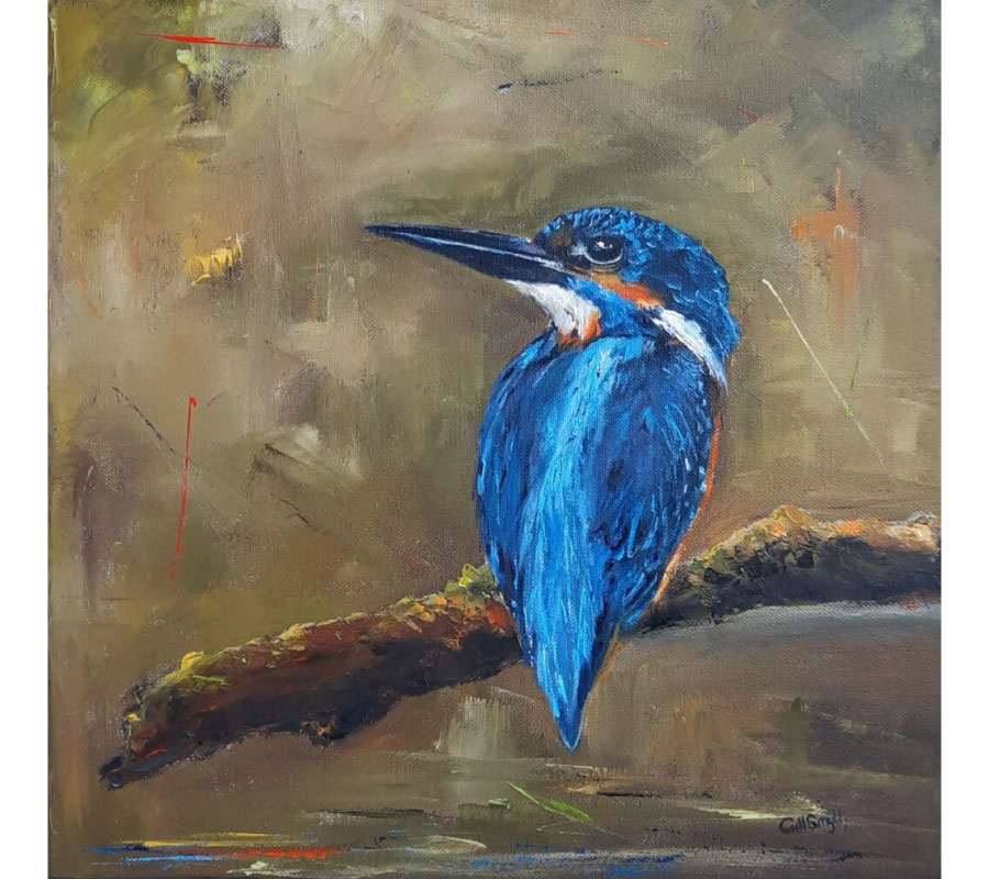 Kingfisher poised