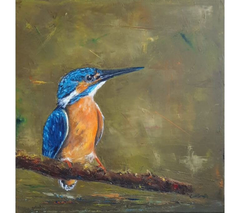 magnificent_kingfisher_01