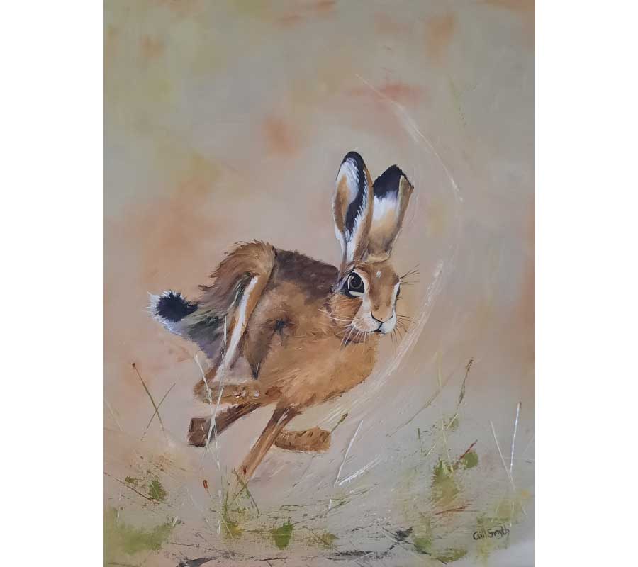 Harry Hare