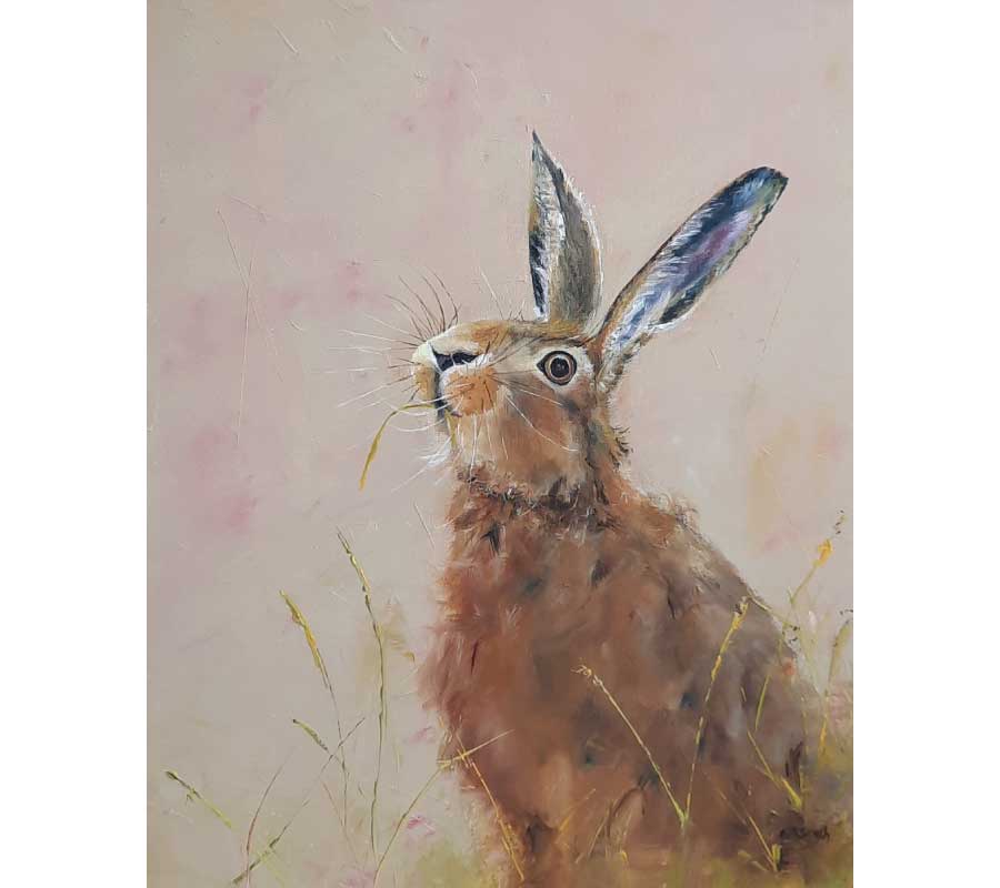 Hettie Hare